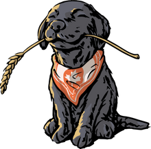 Load image into Gallery viewer, PUP Lite T-Shirt