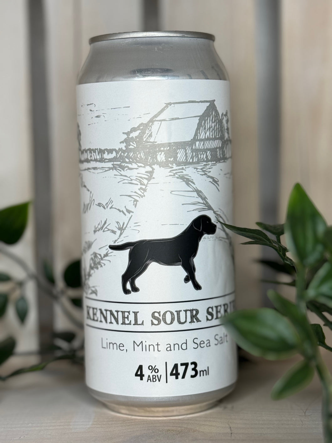Lime, Mint and Sea Salt Kennel Sour (473ml Can)
