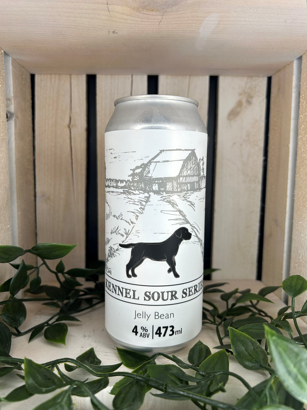 Jelly Bean Kennel Sour (473ml Can)
