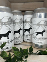 Load image into Gallery viewer, Sour Beer Lover Gift 12-Pack
