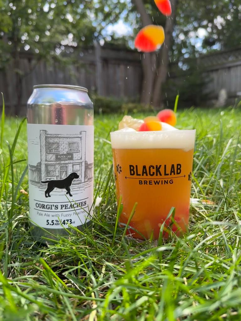 Corgi's Peaches Pale Ale (473ml Can)