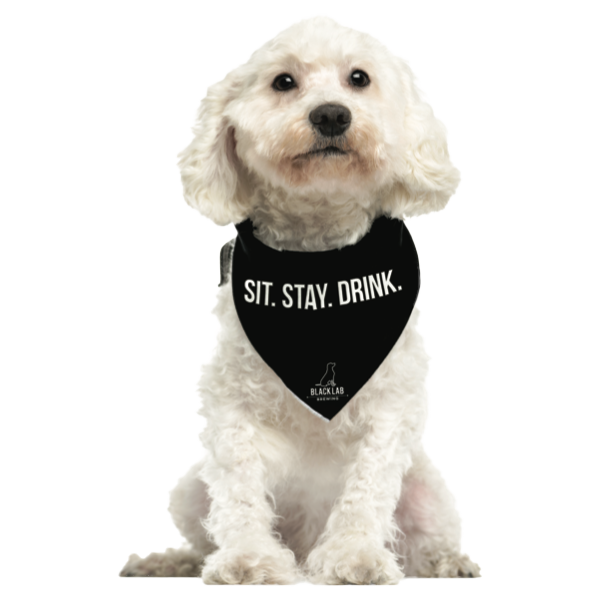 Dog Bandana