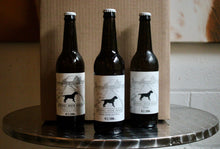 Load image into Gallery viewer, Variety Sour Pack - 9 Bottles
